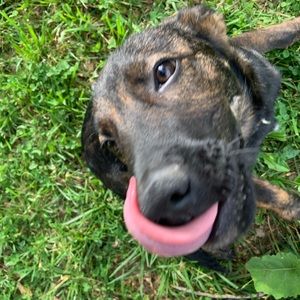 Meet your Posher, Peyton